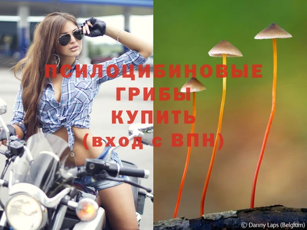 эйфоретик Армянск