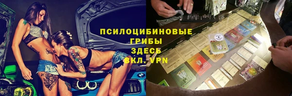 спиды Арсеньев