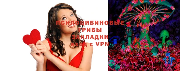 спиды Арсеньев